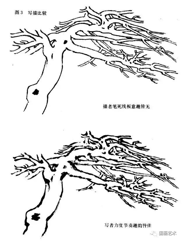 松樹的畫法詳解