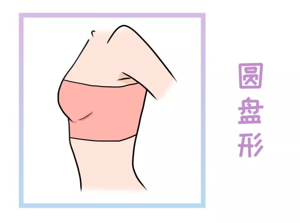 乳房圆盘型图片