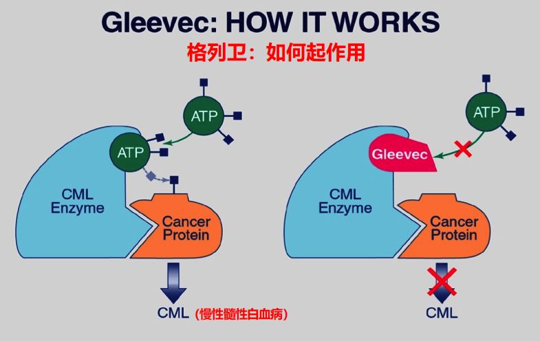 格列卫的研发历程图图片