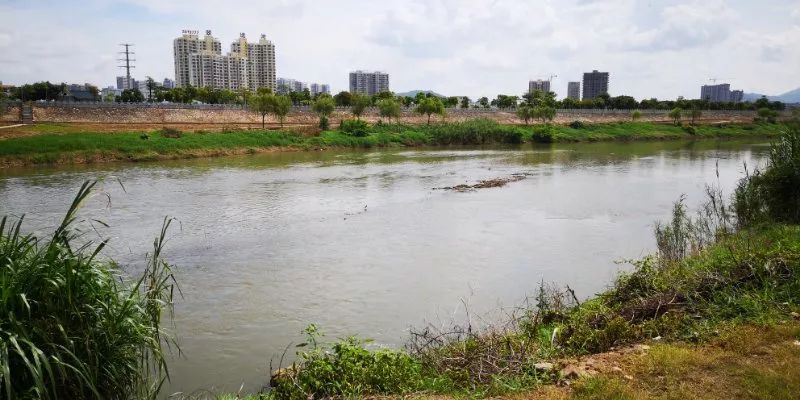 惠阳区今年将投资3000多万元继续完善淡水河两岸7公里污水处理主收集