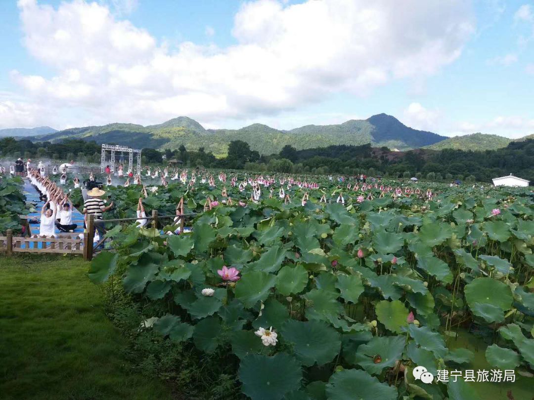 在建宁县修竹荷苑千亩莲田花海中,来自全国乃至世界各地上千名瑜伽好