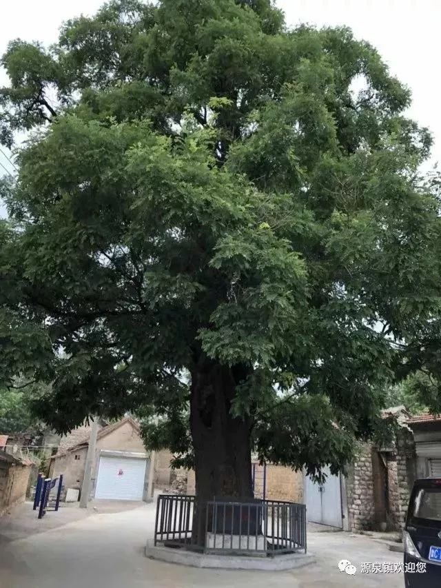 东华山村图片