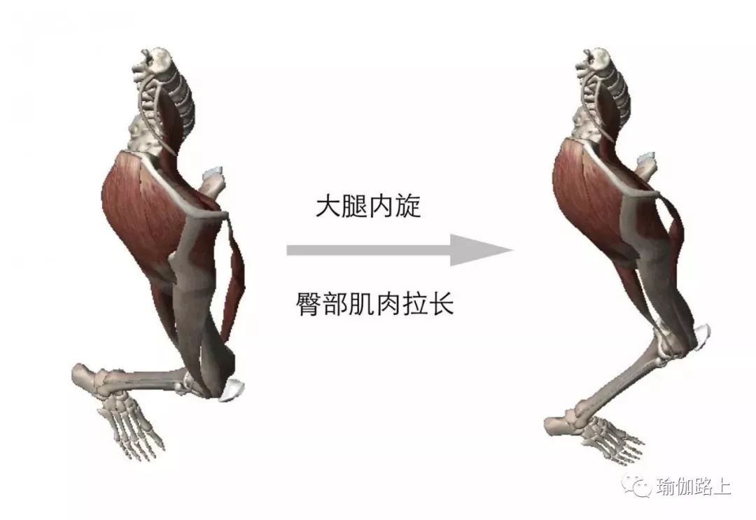 大臂外旋,當手下垂,可以幫助打開肩膀前側;當雙手上舉過頭頂,可以讓