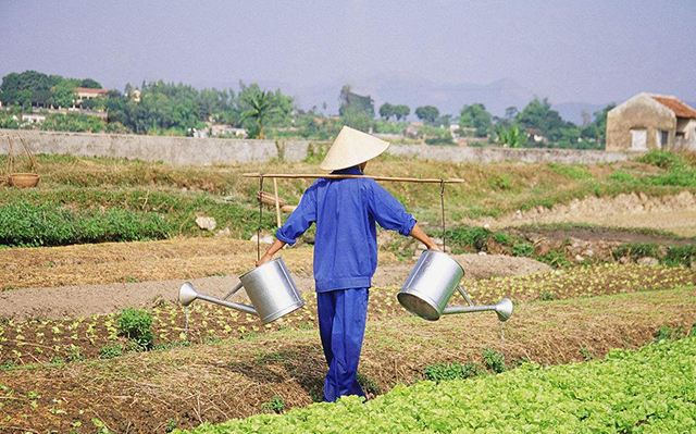 農民寧願出門打工,也不願意在家種地,老農給出了這樣的解釋