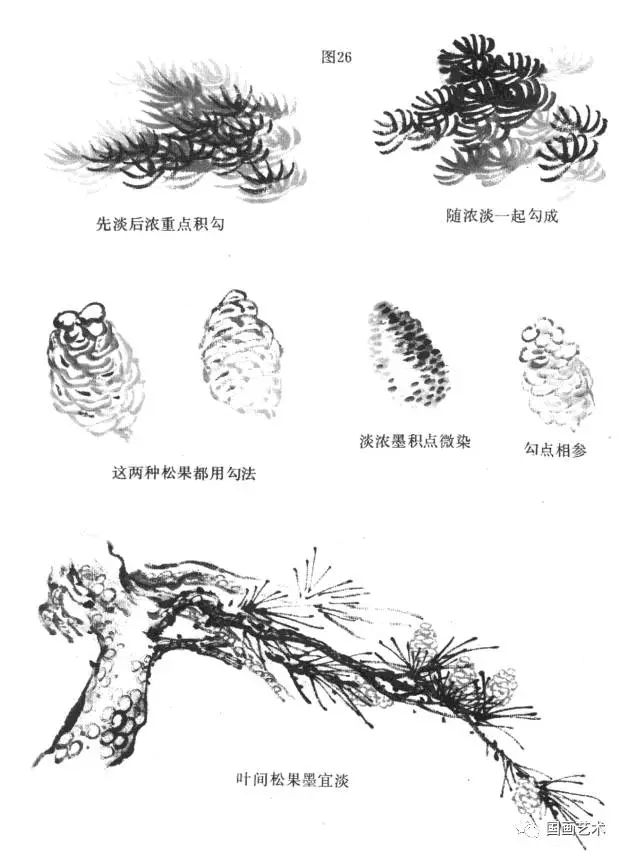 松树的画法 简单步骤图片