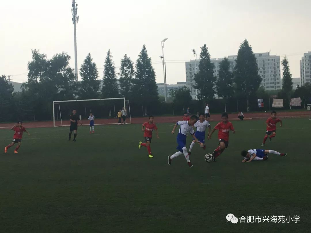 同样的绿茵场,别样的"世界杯—合肥市兴海苑小学足球队喜获佳绩