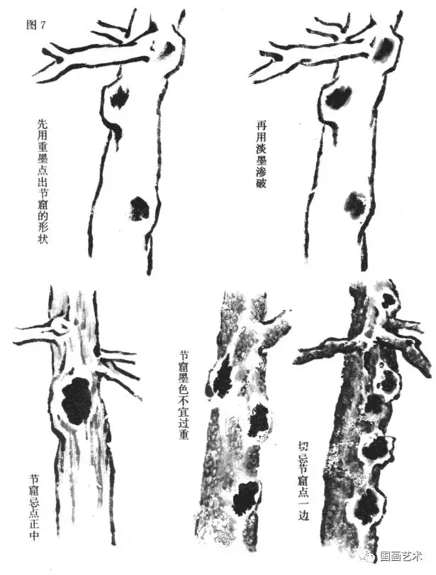 松树的画法 简单步骤图片