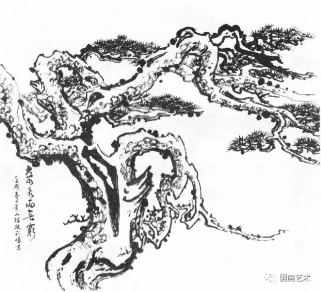 松树画法线描图片