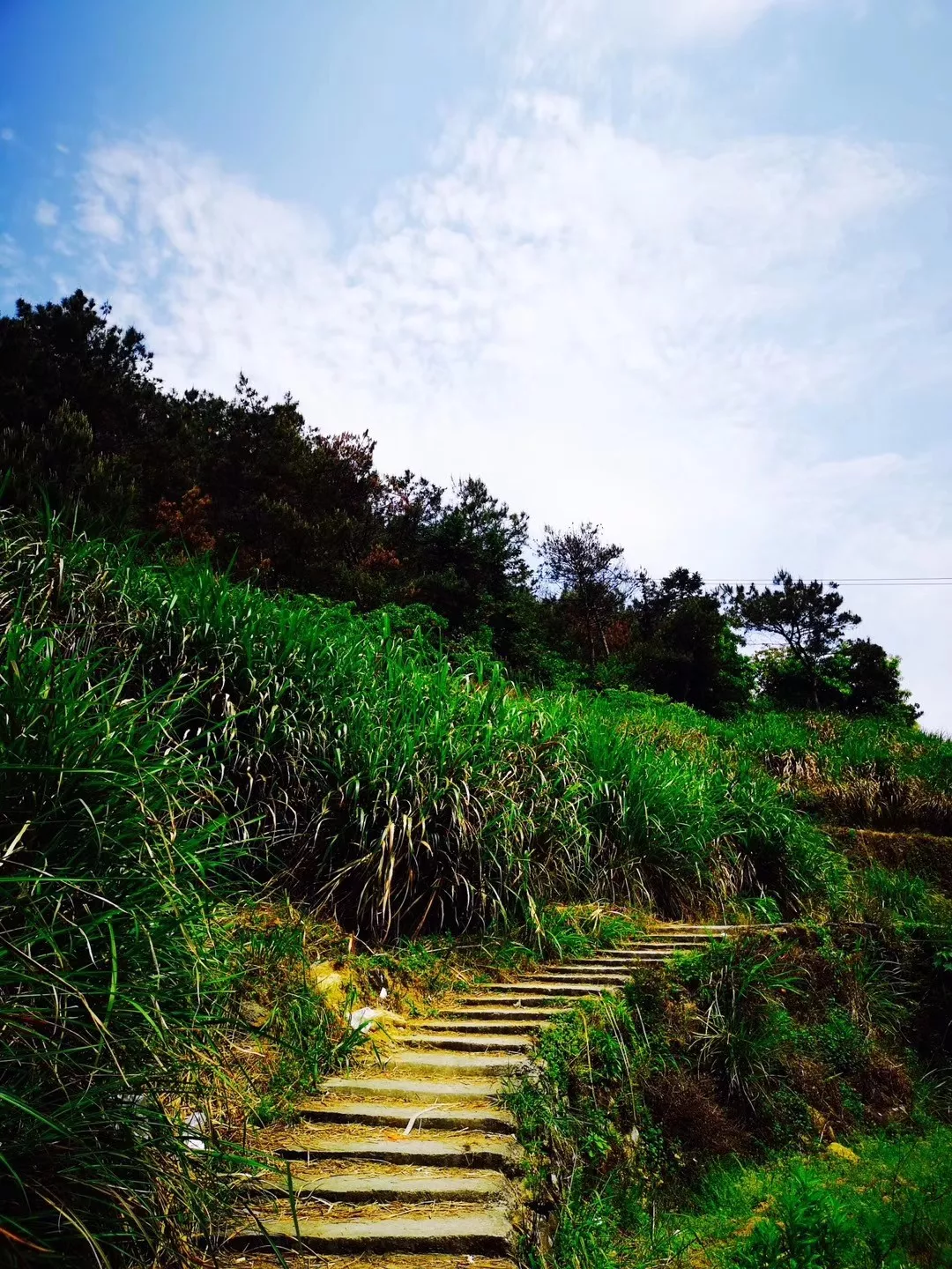 瑞安馬嶼鎮大南登聖井山