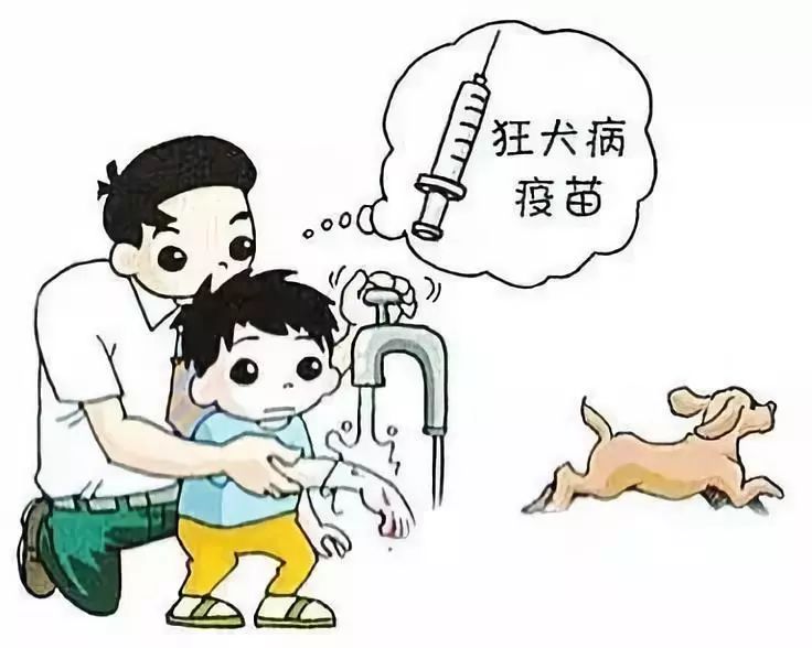 狂犬疫苗漫画图片