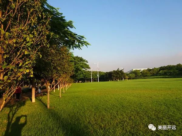 开远幸福大草原风景区图片