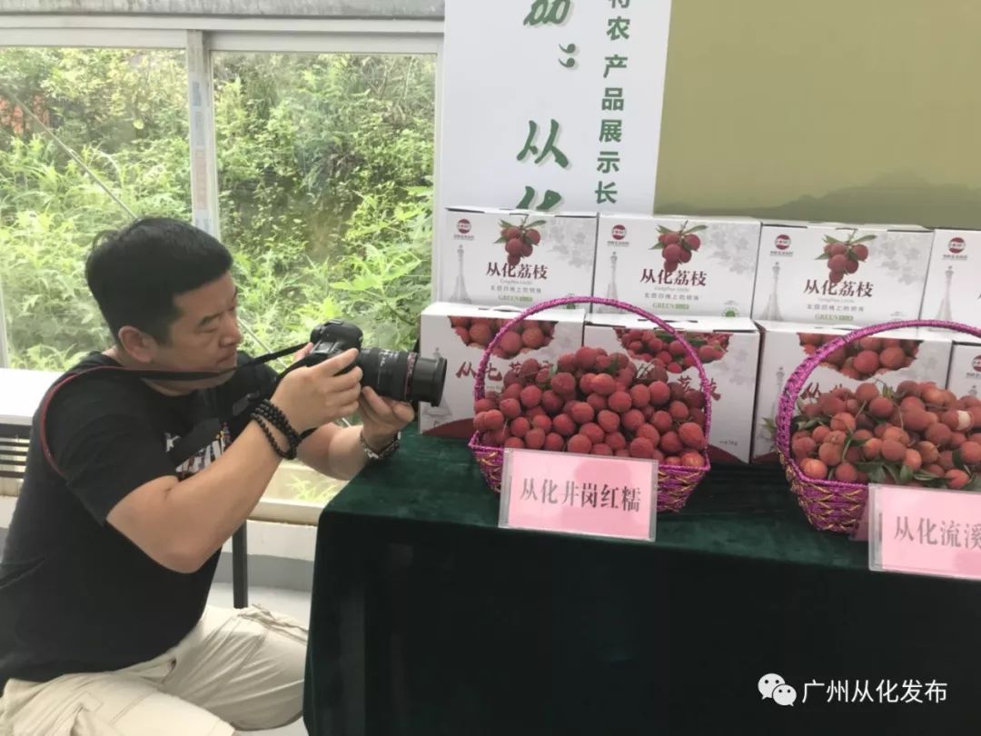 记者团品尝了不同种类的荔枝,除了常见的槐枝,糯米糍,桂味之外,最让