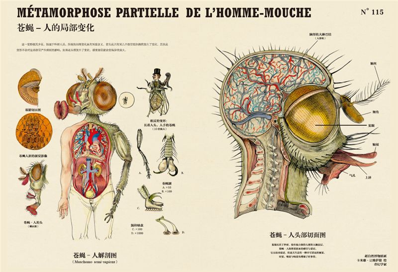 手繪解剖圖詮釋超現實變形之美