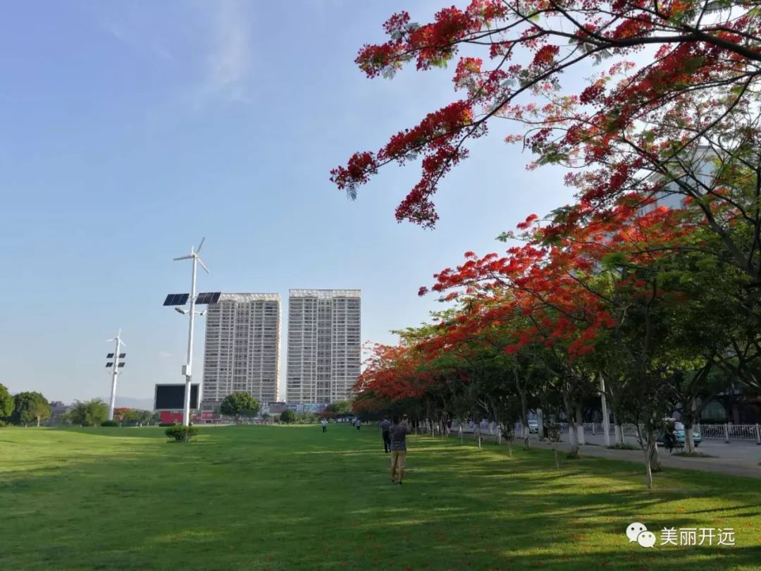 开远幸福大草原风景区图片