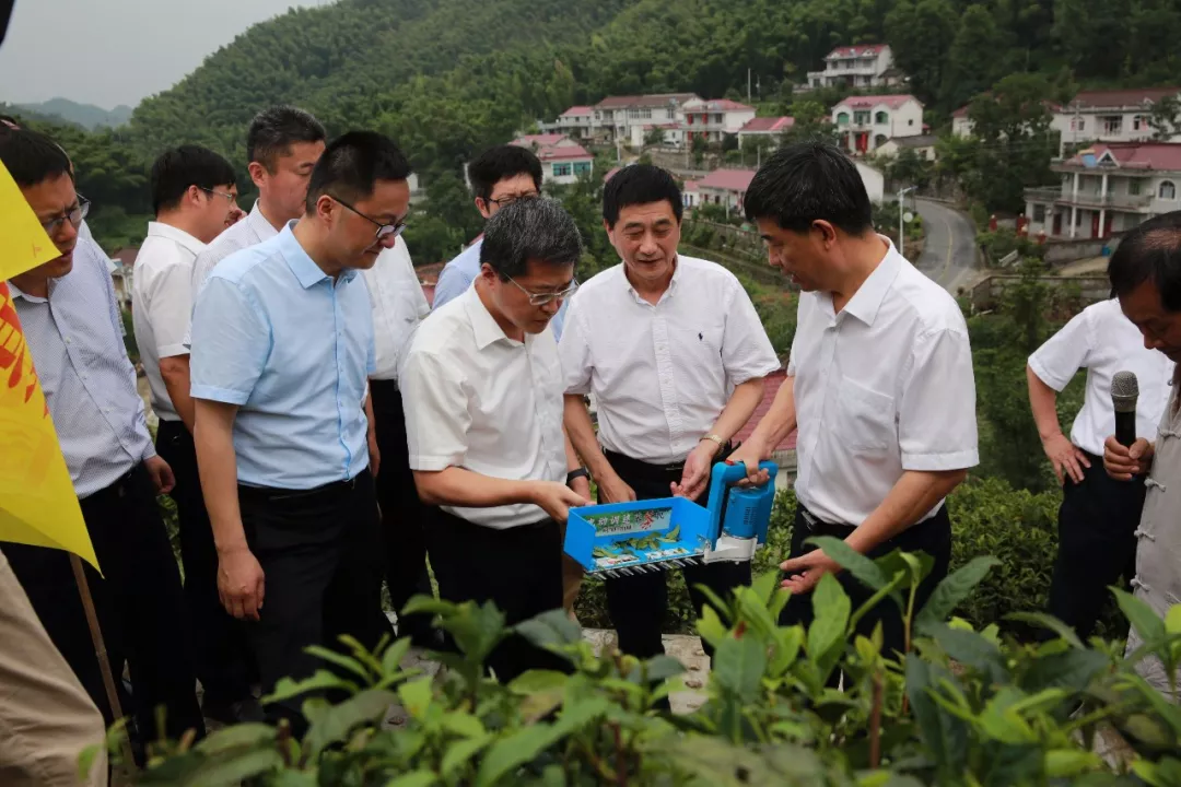 省科技厅安农大六安市政府联合召开黄茶产业发展助推脱贫攻坚会议