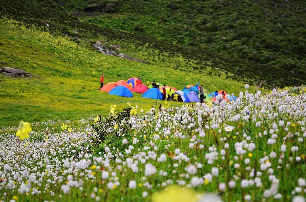 茂县九顶山赏花,徒步露营旅行 7月召集 活动组织:量子旅行 活动费用