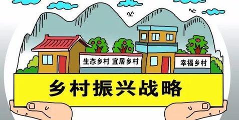 组织振兴是乡村振兴的充要条件