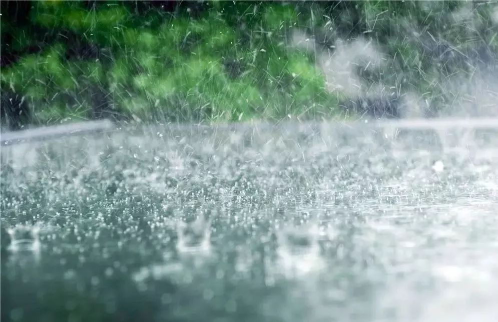 青島又降大雨!雨天行車必須知道這些