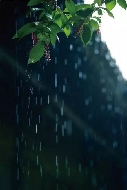 静听雨打窗台,等一人归来