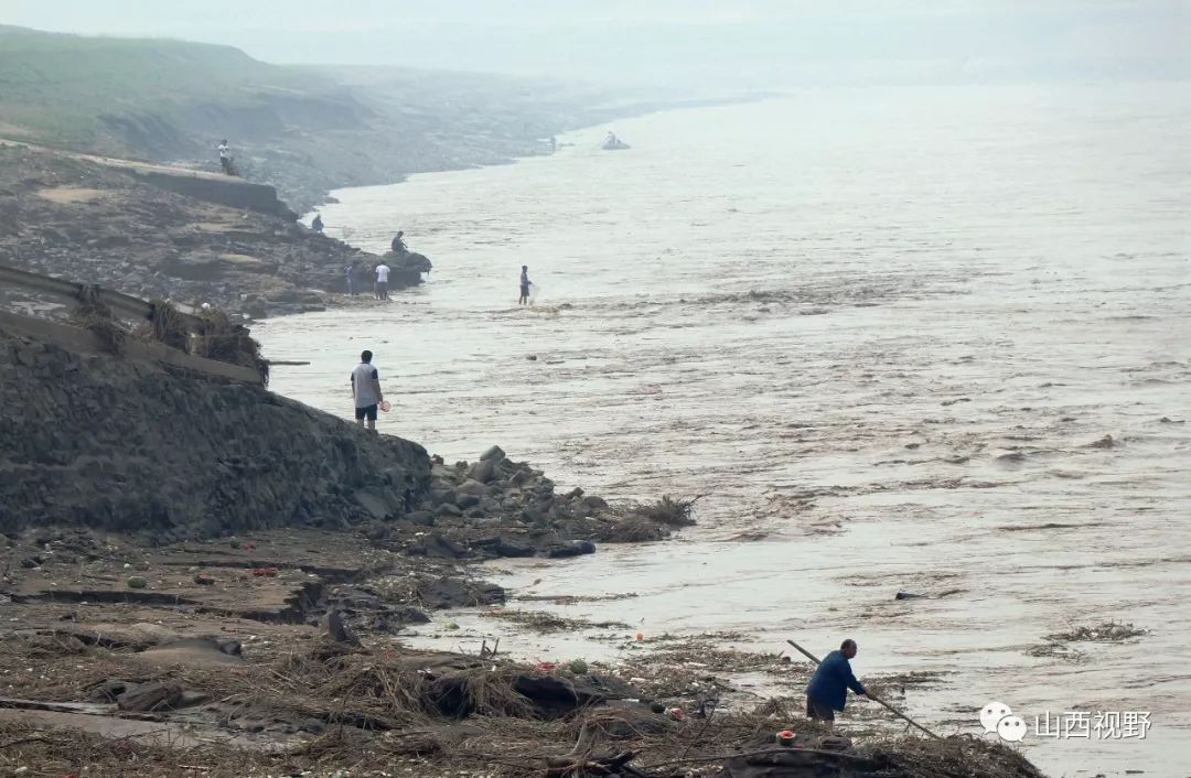 平陸黃河浪急魚兒歡渾水摸魚村民樂