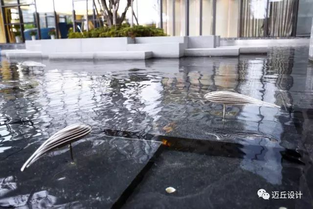 解析高颜值水景 泳池 镜面水景(含细节技术图)