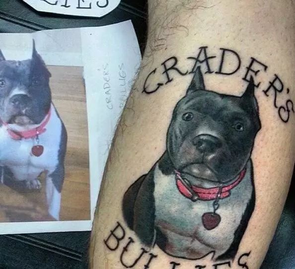 恶霸犬纹身图库图片