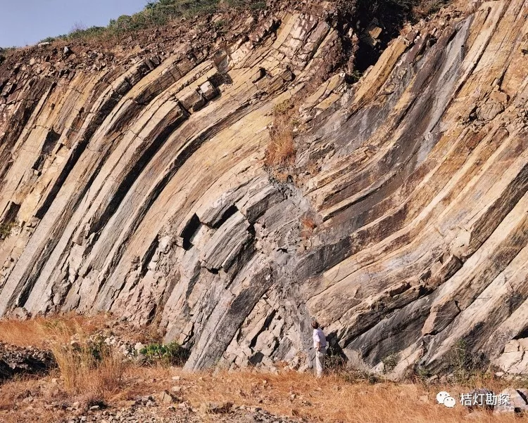 65大型褶皱由砂岩,泥岩和火山灰组成的地层发生褶皱