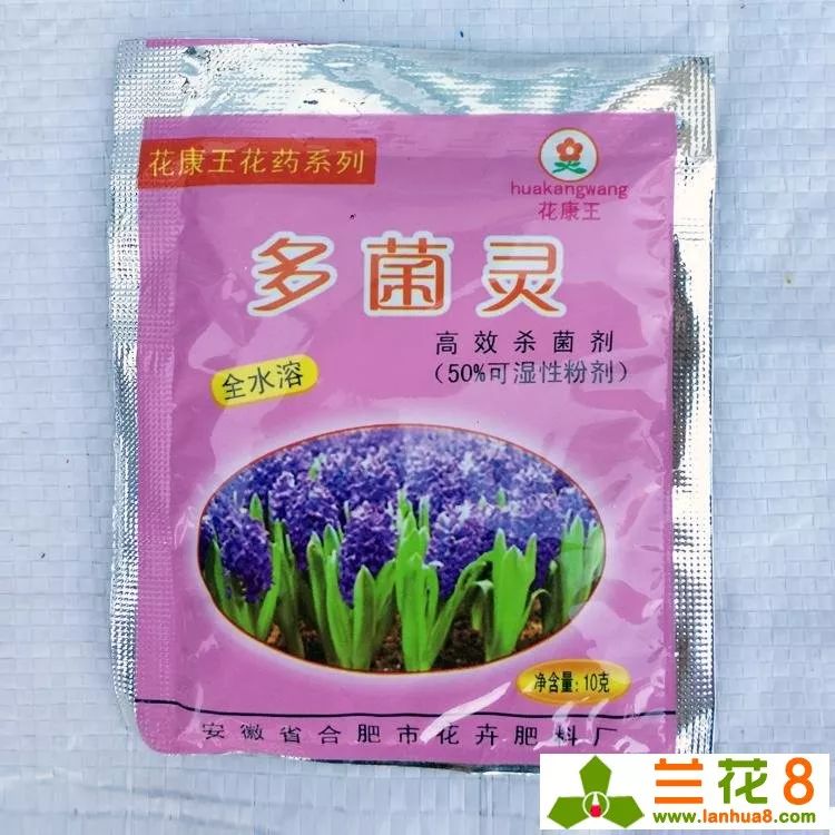 兰花常用杀菌剂百菌清和多菌灵的区别