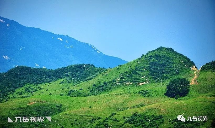 ◣九嶽視界◥ 深閨中的流峪草甸,西安最近的高山牧場