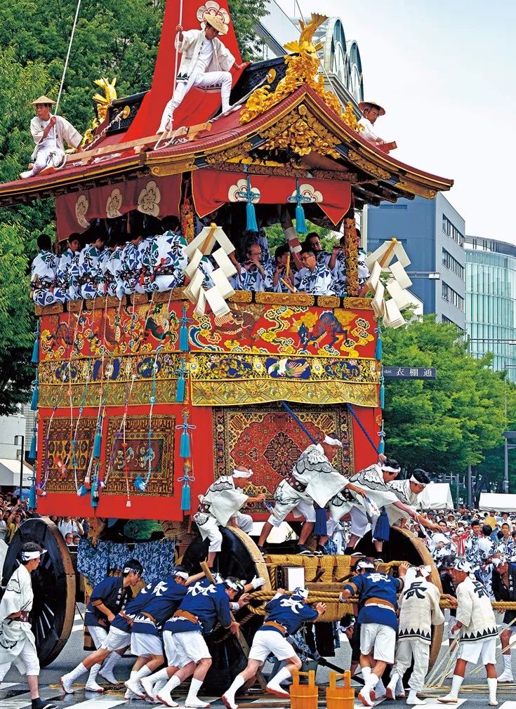 三十多万只可爱的祭们在日本活的还都挺好