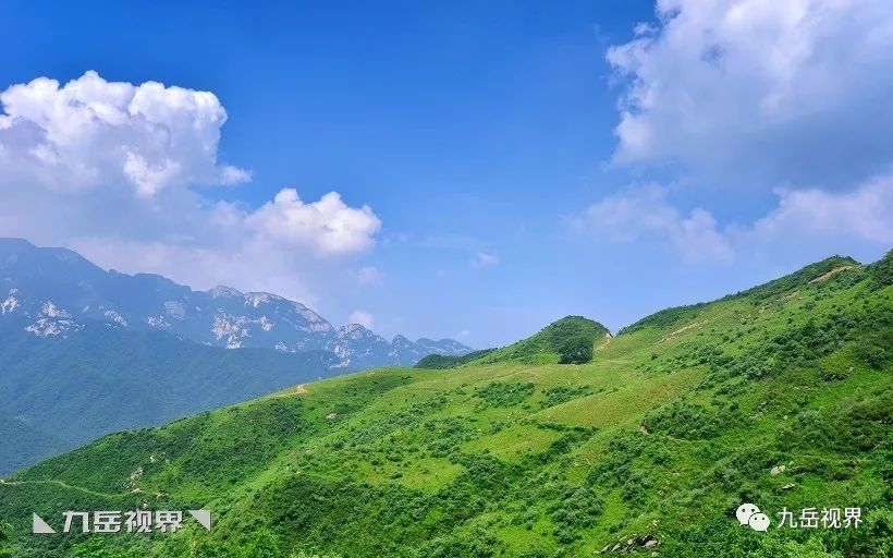 ◣九嶽視界◥ 深閨中的流峪草甸,西安最近的高山牧場