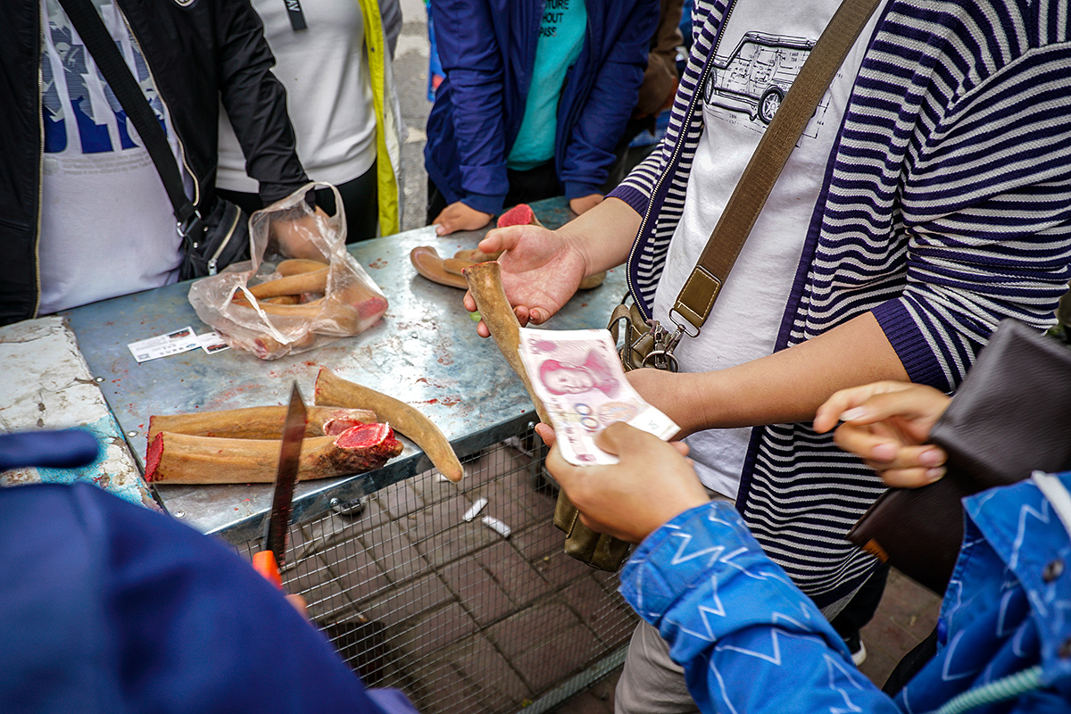 一条小市集,每天鹿产品现金交易超千万,商客和游客云集