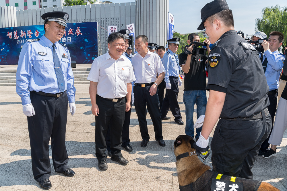 阳山公安局局长坠亡图片