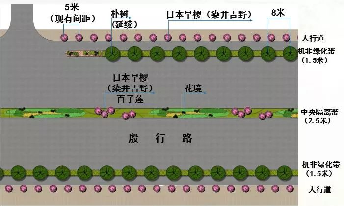 三板四带式道路图图片