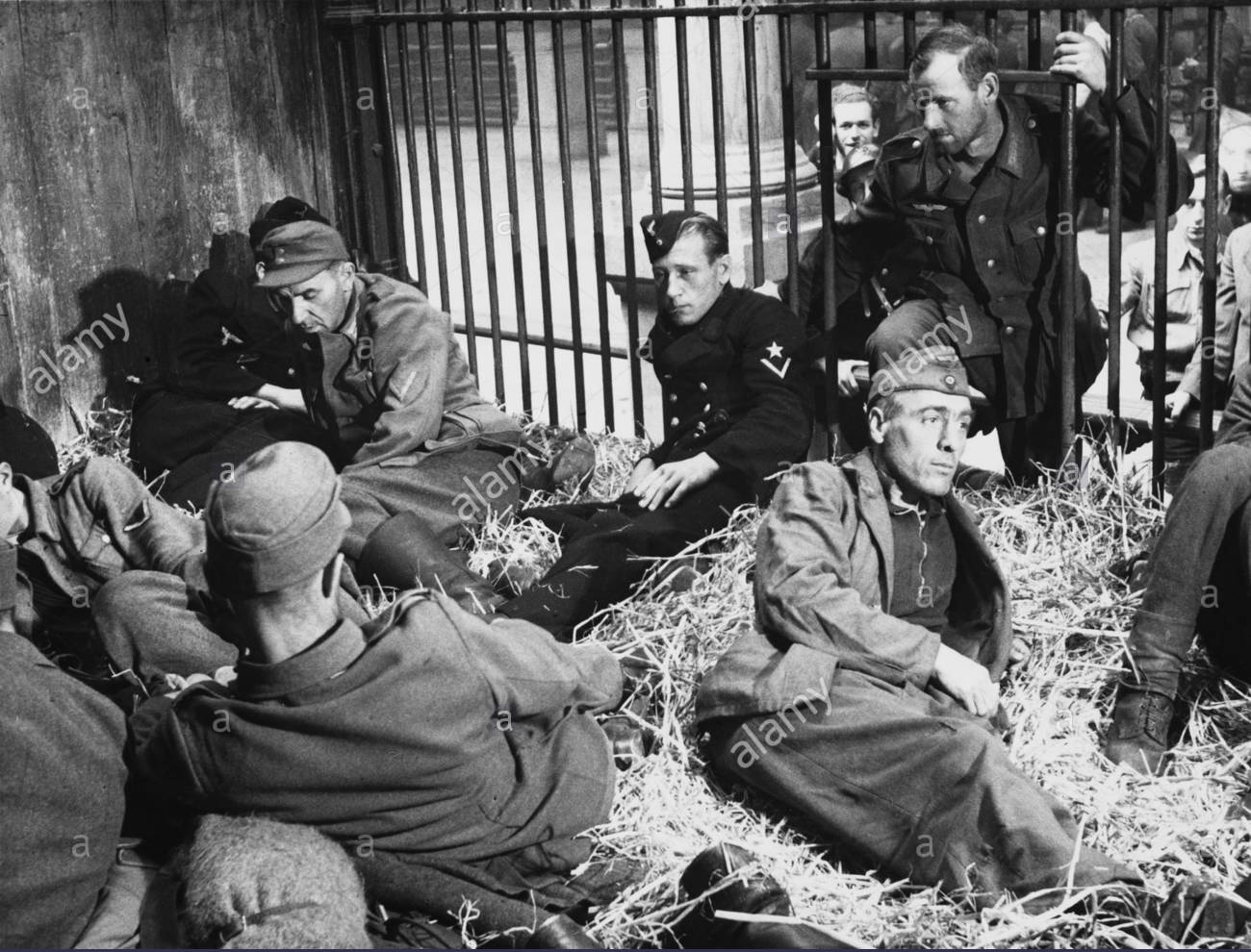 把德国战俘关动物园参观?二战末俘虏天堂的诸国如此对待德国人