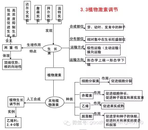 【暑期大脑充电】高中生物必修三知识框架图!