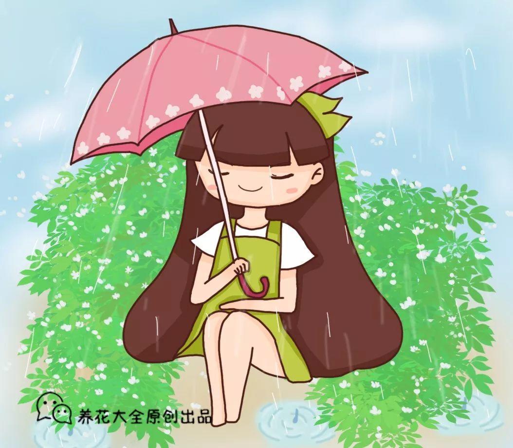 這8種花就愛喝雨水越淋雨長得越壯實