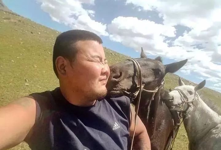 【蒙古影像】蒙古人的宠物 蒙古人与动物的相处方式