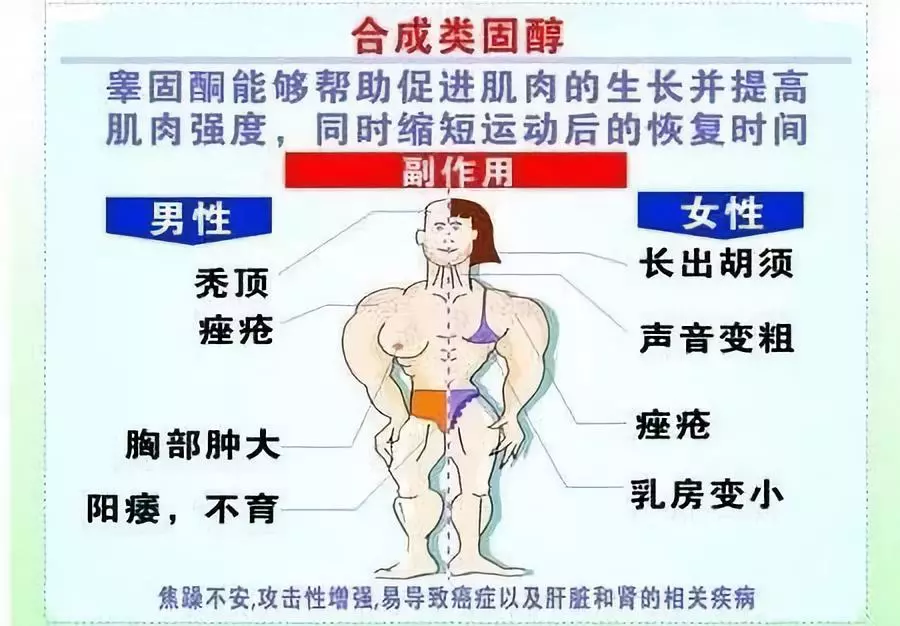 破坏骨骼肌系统不断增长的睾丸激素和其它性激素可以使青少年的身体