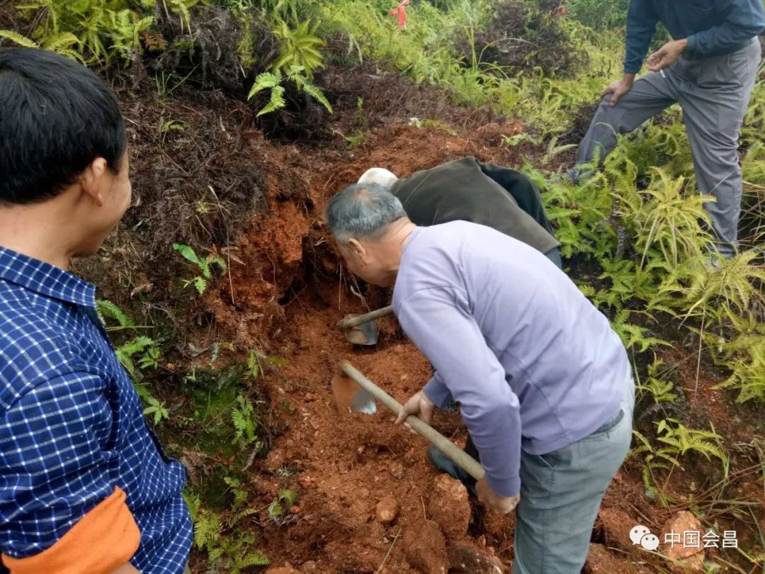 子孫後代留一塊淨土其實孝與不孝也並非在於墓地有多大位置有多好關鍵