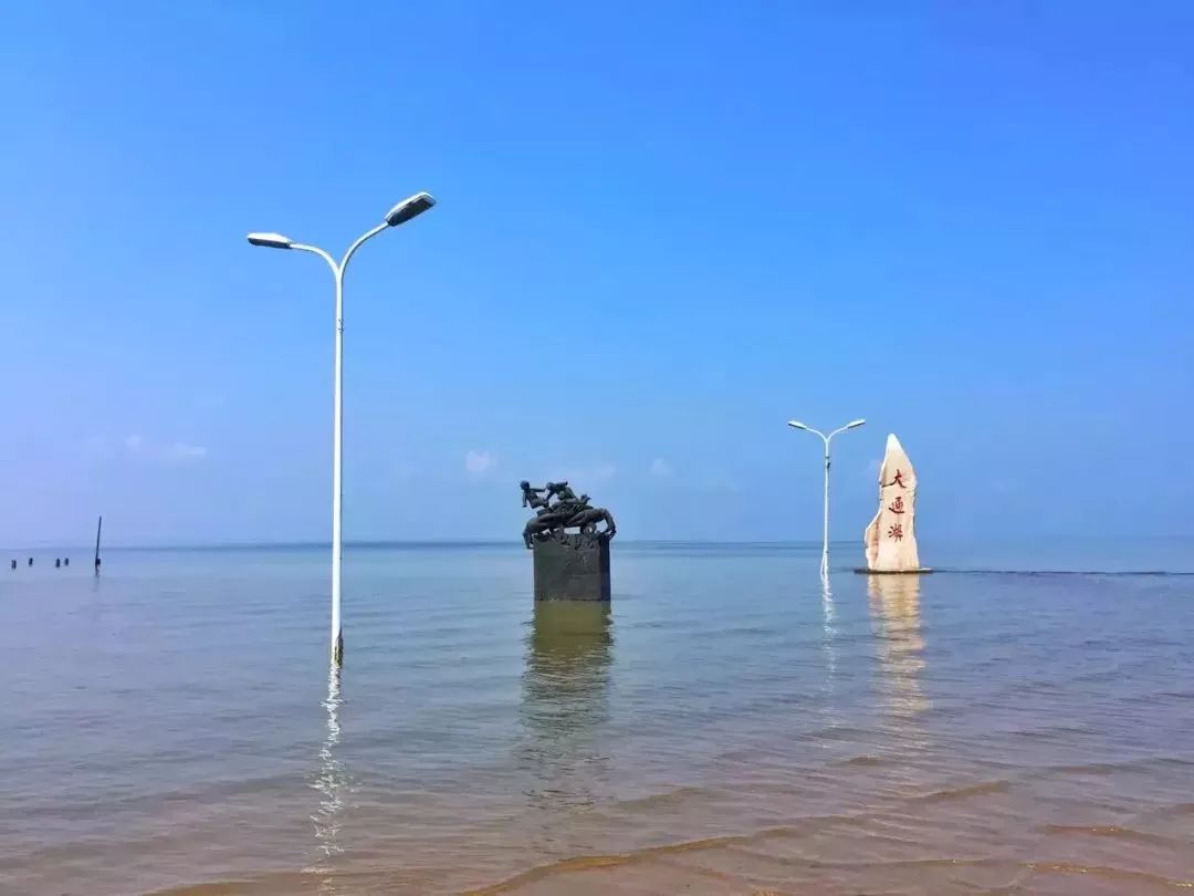 大通湖龙驹照片图片