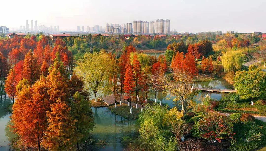 常州横塘河湿地公园图片