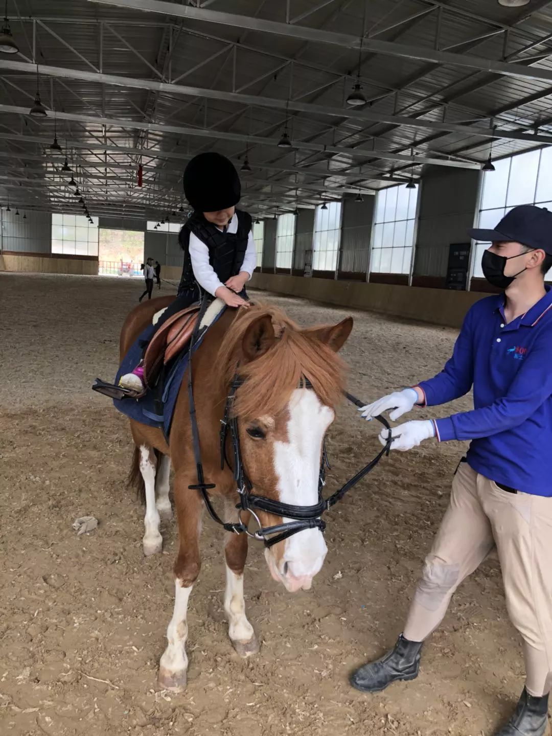 128元爱宝莉马术俱乐部石槽店暑期马术体验课私人马术教练一对一教学