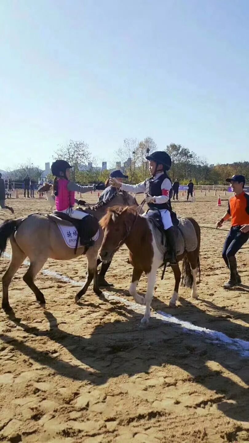 128元爱宝莉马术俱乐部石槽店暑期马术体验课私人马术教练一对一教学