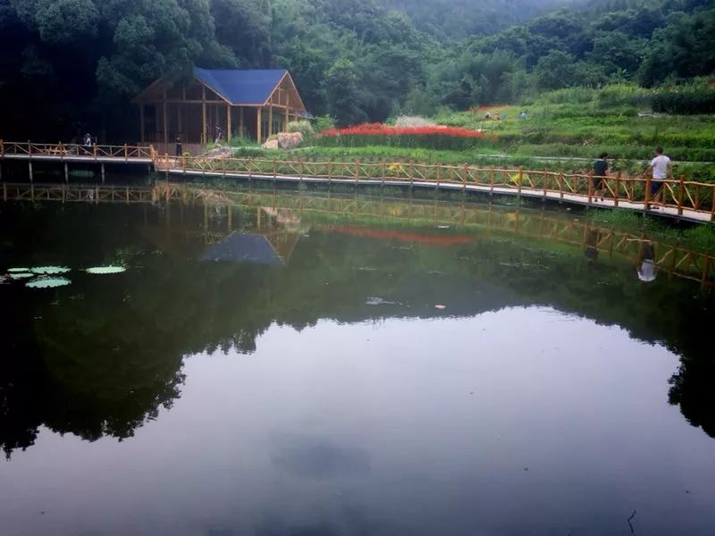 赣州仙峰谷生态园图片