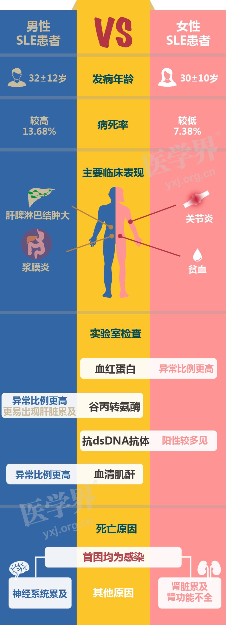 一图读懂丨男女系统性红斑狼疮患者各自有何特点?