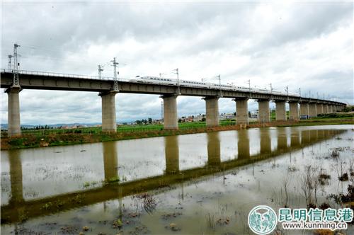 昆楚大鐵路開通10日共發送旅客33.4萬人 最高日發送3.72萬人