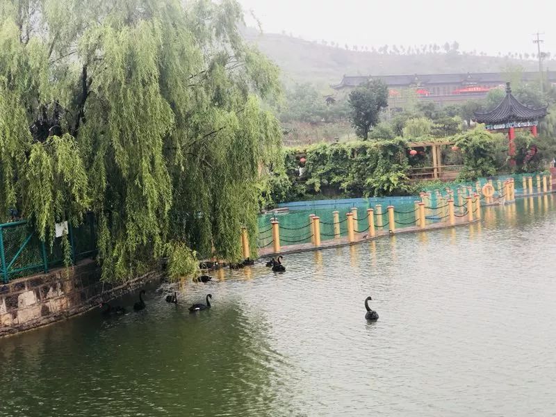 寶山前野生動物園位於蘭陵縣西北車輞鎮境內,由山東順源旅遊開發有限