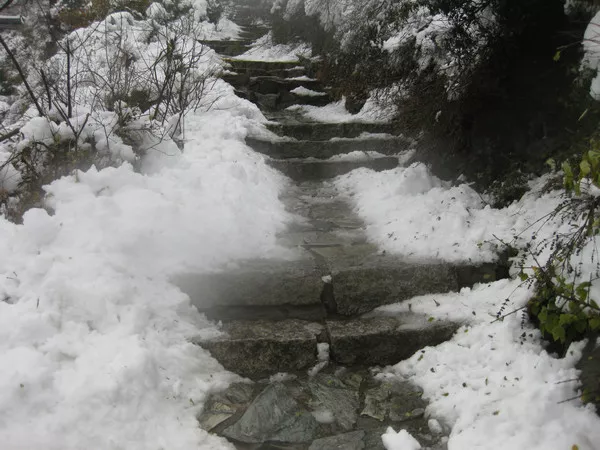 寒山子诗·杳杳寒山道(三十一)