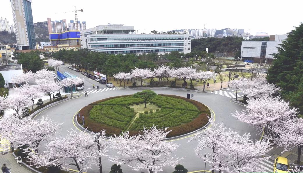 國立慶北大學學校簡介: 慶北大學在韓國享有